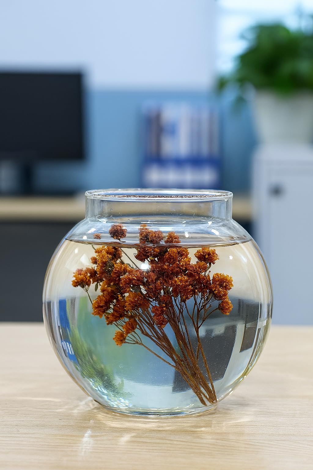 Crystal Clear Glass Fish or Terrarium Round Bowl (4 inches)