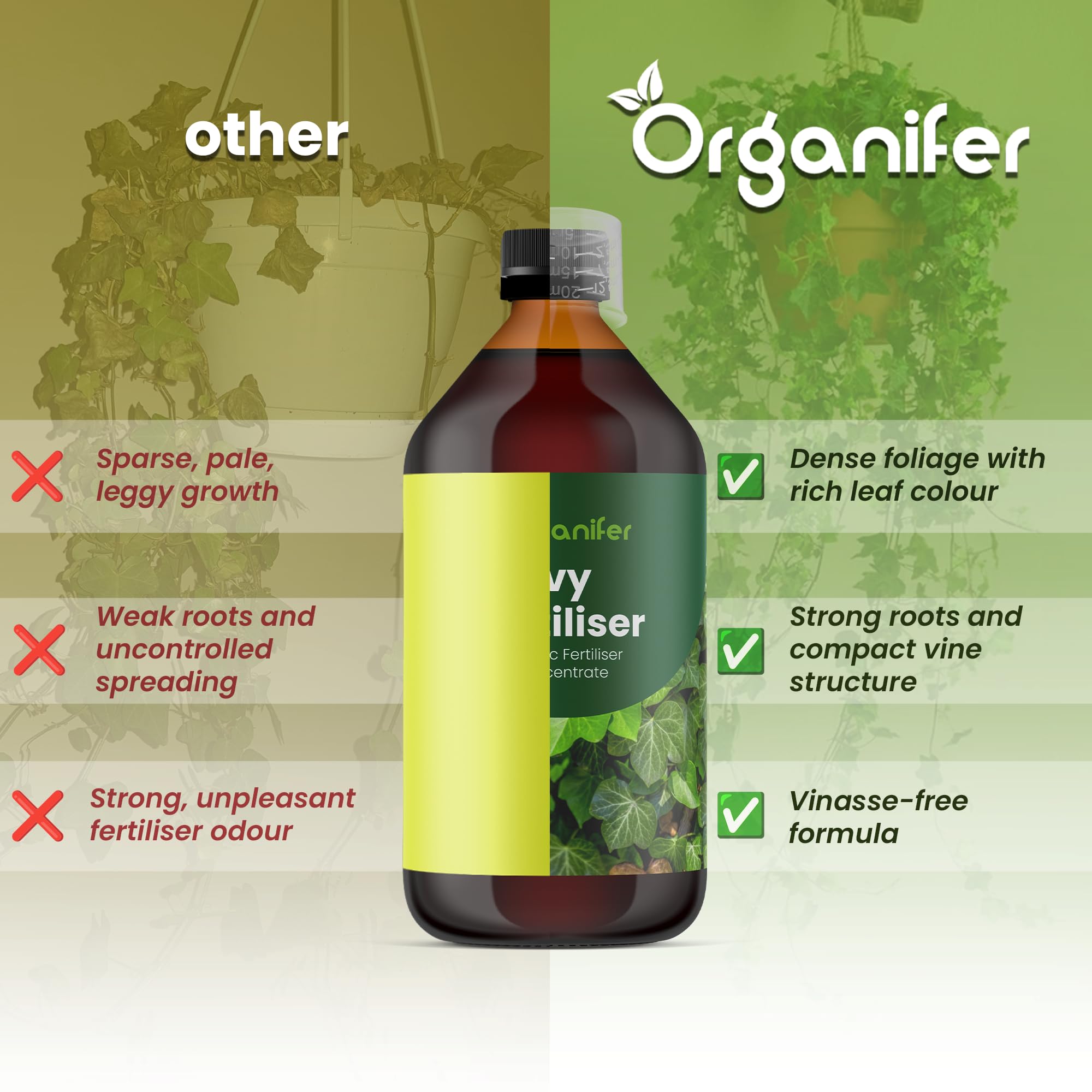 Fertilizante Líquido - 10L - Para Hiedra - NPK 2-1-8 | Crecimiento Saludable Y Plantas Robustas - Organifer