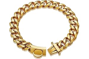 Gold Chain Collar for Dogs: Durable, Stylish, and Secure