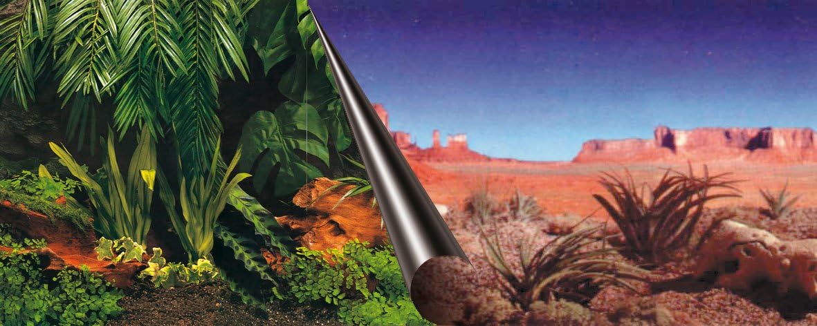 Europet Bernina 241-109076 Photo Back Board, 60 x 30 cm Jungle and Dessert Motif