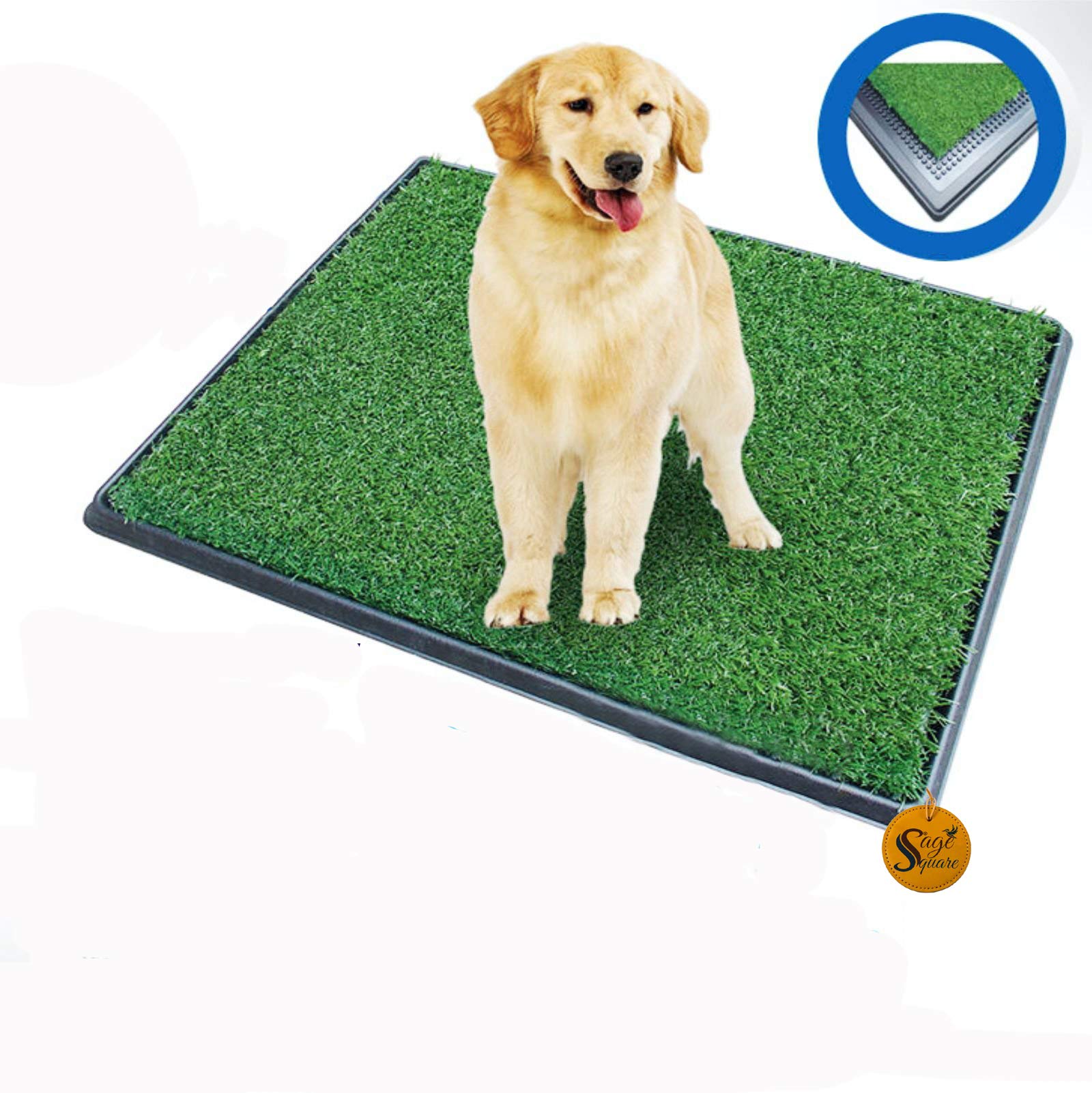 Sage Square Dog Cat Potty Toilet Patch Training Pad for Indoor or Outdoor Use, 3 Pieces Puppy Training Pad Dog Relief System (1 Set of 3 Pieces) (B08KD7K8JB) Amazon Price History, Amazon Price Tracker