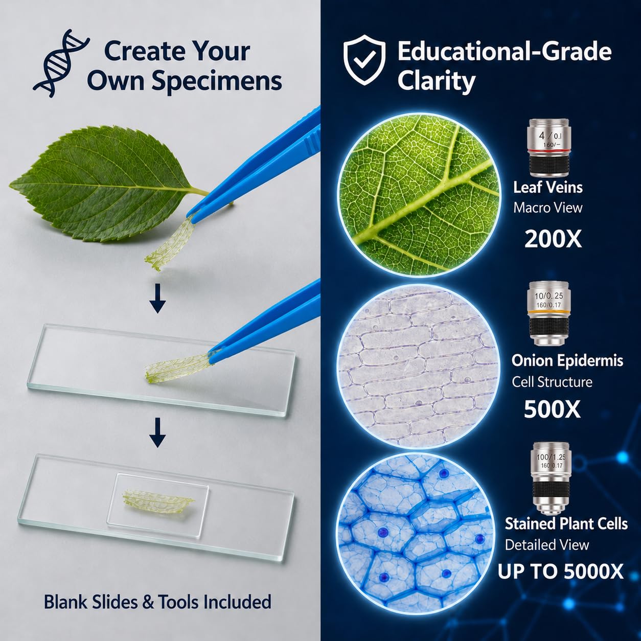 Microscopio 200X-5000X, microscopio ottico biologico composto con set di diapositive e adattatore per telefono, attrezzatura per l'educazione scientifica per studenti e principianti