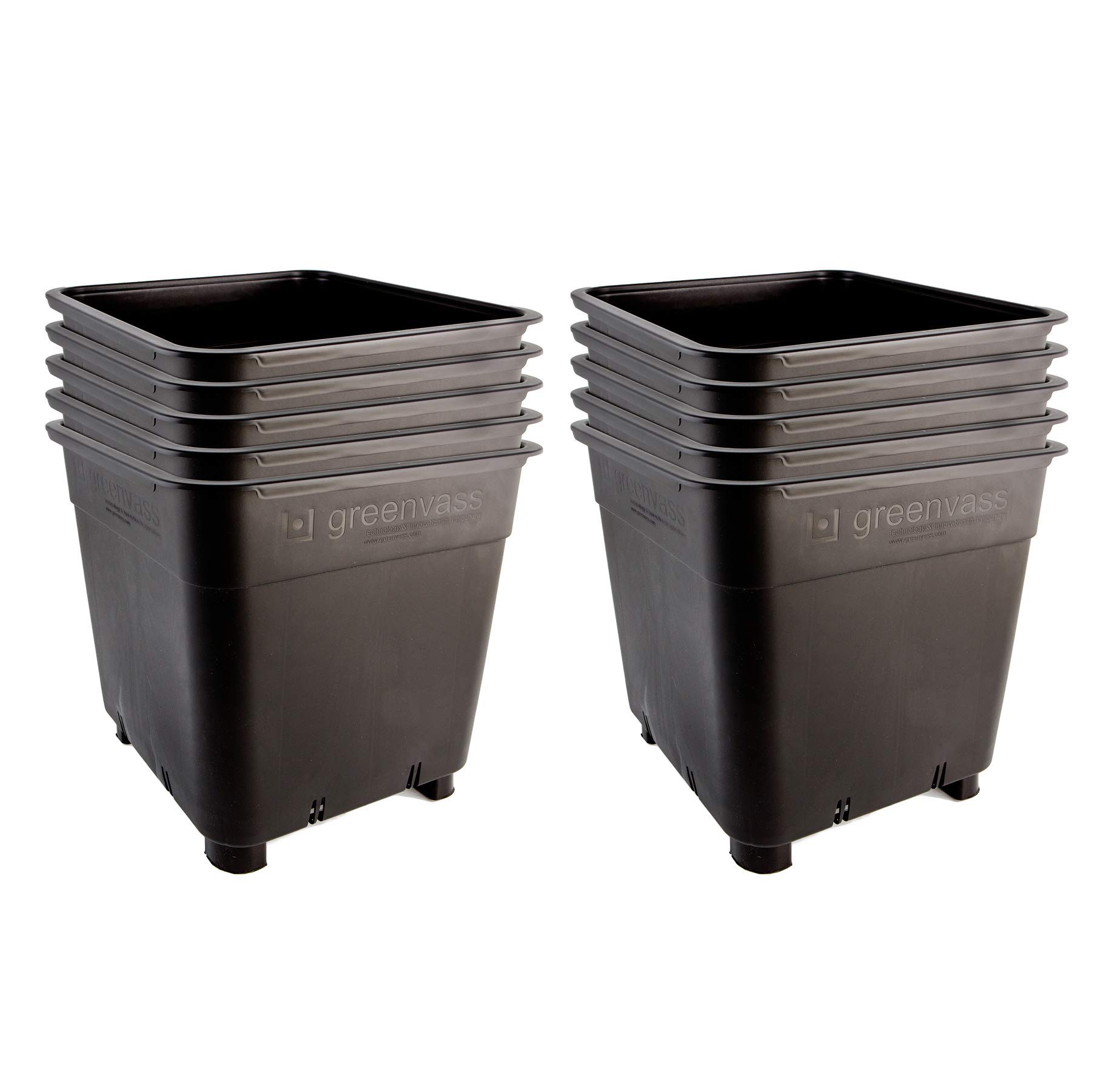 Kit per coltivazione IDROPONICA 4496 con box a 6 fori 41.3 x 27.6 cm