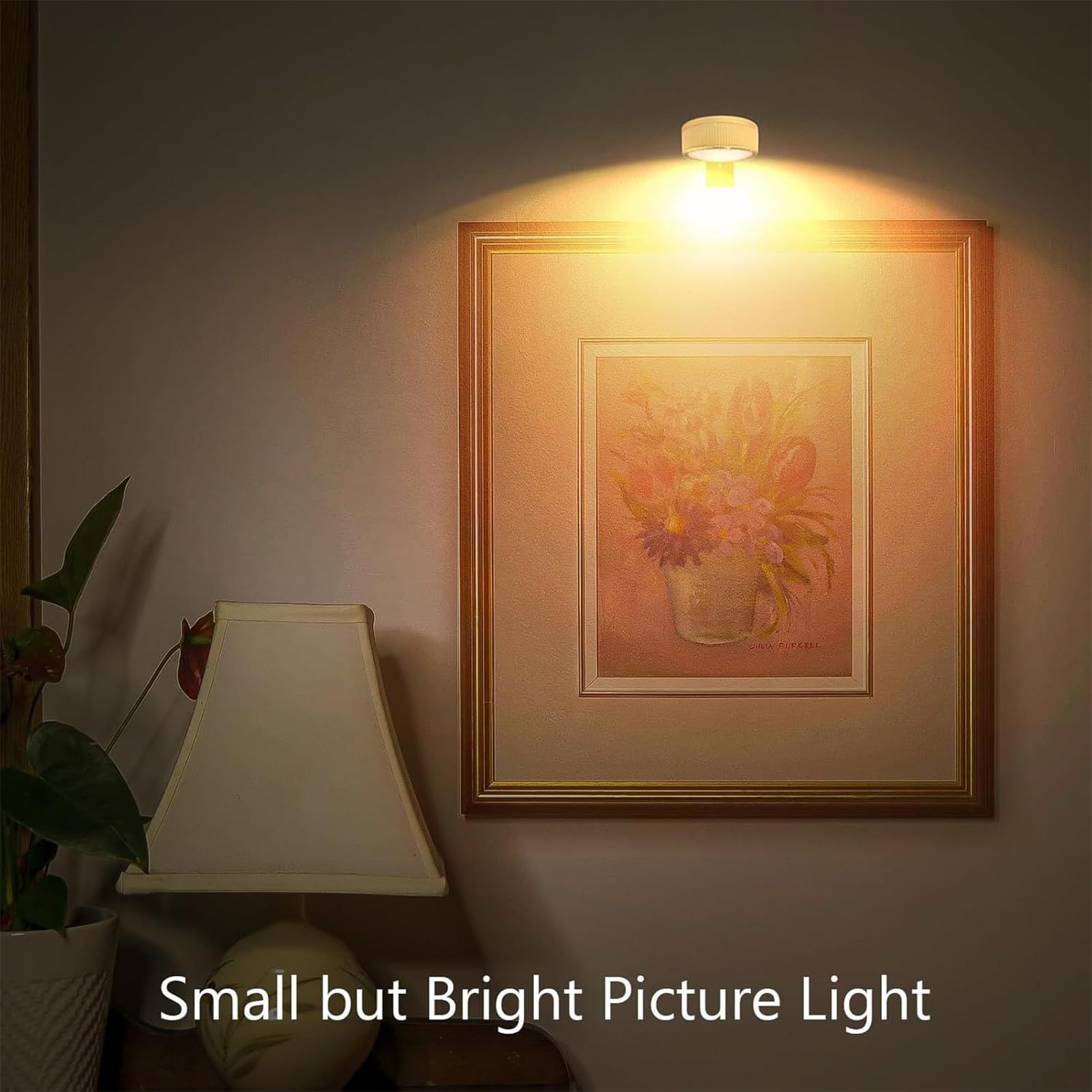 Luce da parete con telecomando, luce per immagini, funzionamento a batteria | Lampada di novità con telecomando con timer