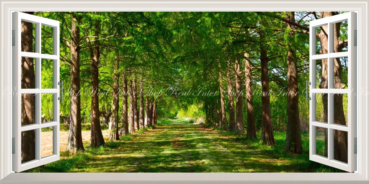 【パノラマ版／扉なし窓仕様】-窓の景色- 森林 森林浴 目の保養 壁紙ポスター パノラマ扉なし窓仕様】-窓の景色- 森林 森林浴 緑 目の保養 気分転換