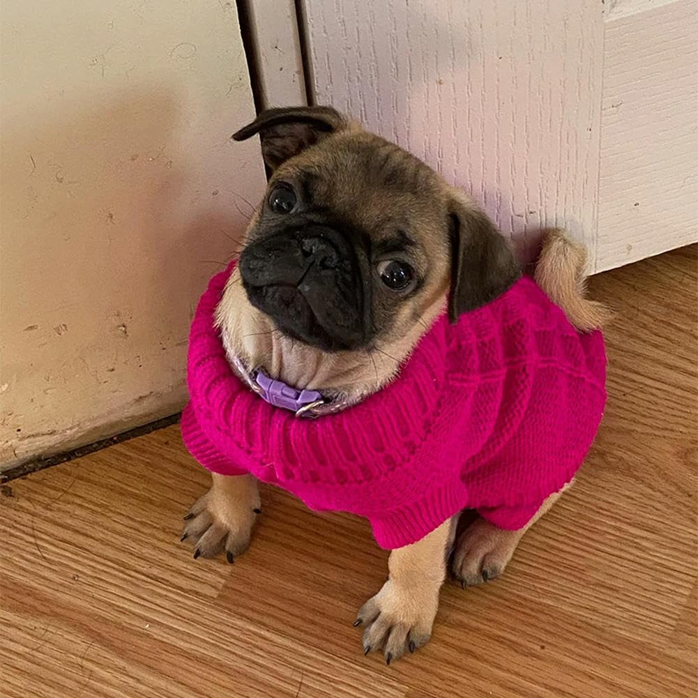 IECOii hondentrui, trui voor honden, hondentrui voor kleine, middelgrote en grote honden, warme rolkraag honden trui, winter hondenkleding voor katten, chihuahua, Franse bulldog, Labrador