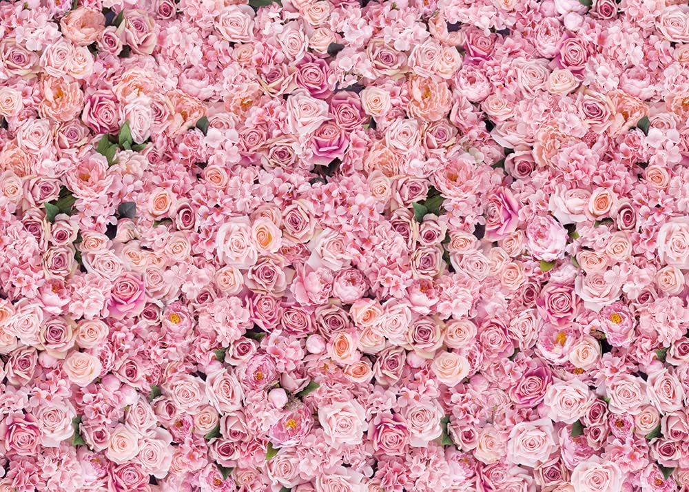 Wandhintergrund Mit Rosa Rosen – 2,4 X 1,8 M, Vinyl, Für Partys & Fotos