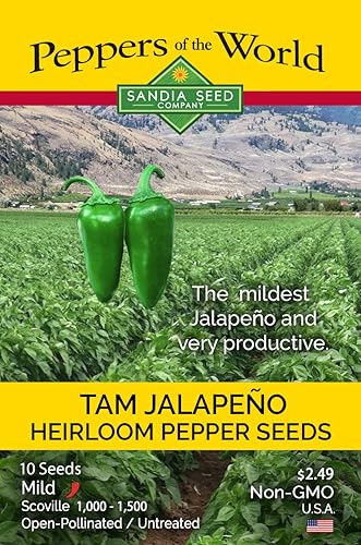 Jalapeño TAM - Pimienta reliquia - 10 semillas - Jalapeño más suave