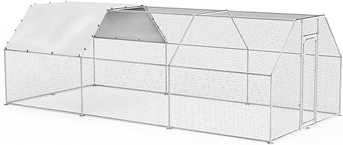 BOSSIN Bold Chicken Coop Run - Bolígrafo de metal grande para exteriores, jaula de aves de corral, gallinero de forma plana, corres de pollo disponible en Yaxa Colombia