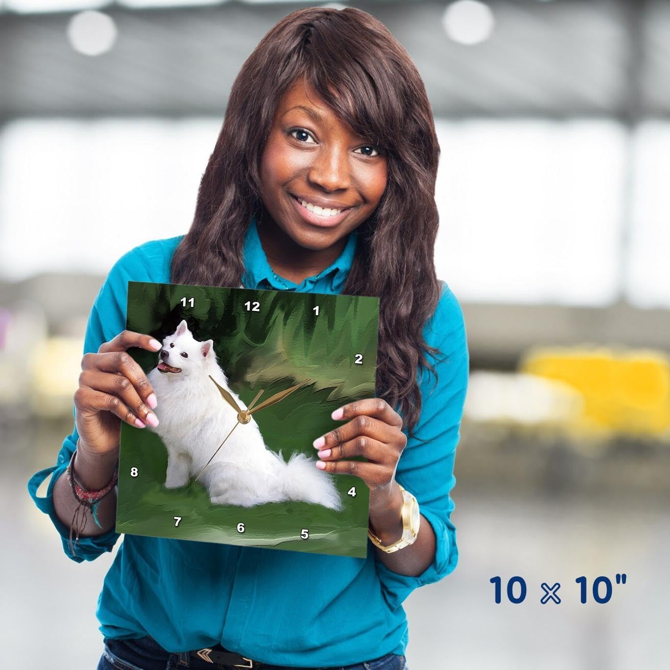 3dRose American Eskimo - Wall Clock, 10 by 10-Inch (DPP_4177_1)