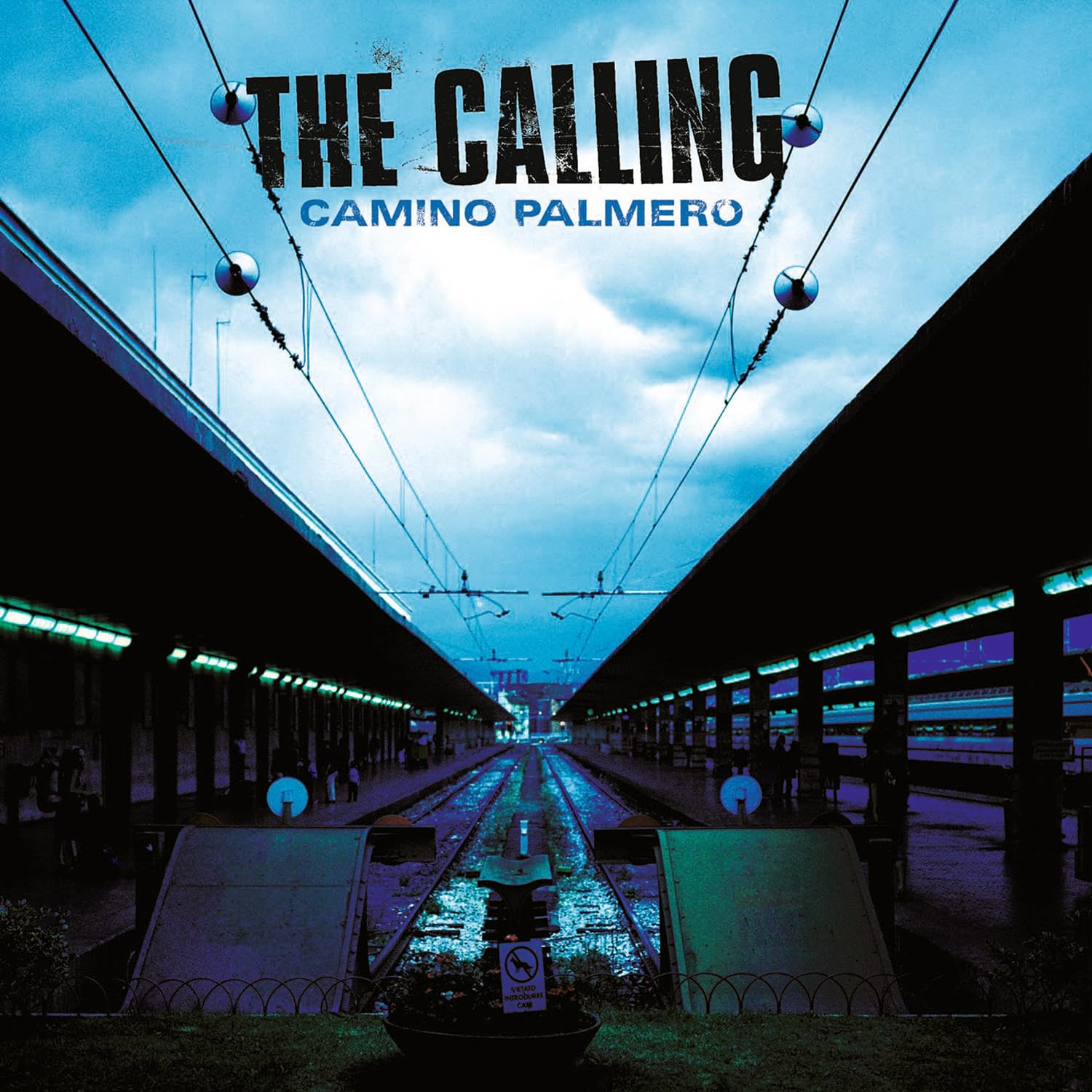 Camino Palmero [VINYL]