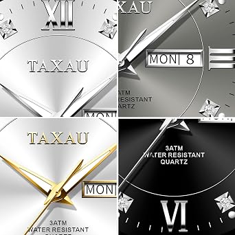 Taxau Armbanduhr Herren Chronograph Analogue Quartz Uhr Herren Edelstahl Wasserdicht Leuchtende Klassische Luxus Business Herrenuhren Geschenke für Männer