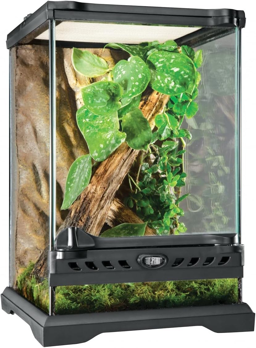 Exo Terra Glass Natural Terrarium, Nano/Tall,Black, 20 x 20 x 30 cm