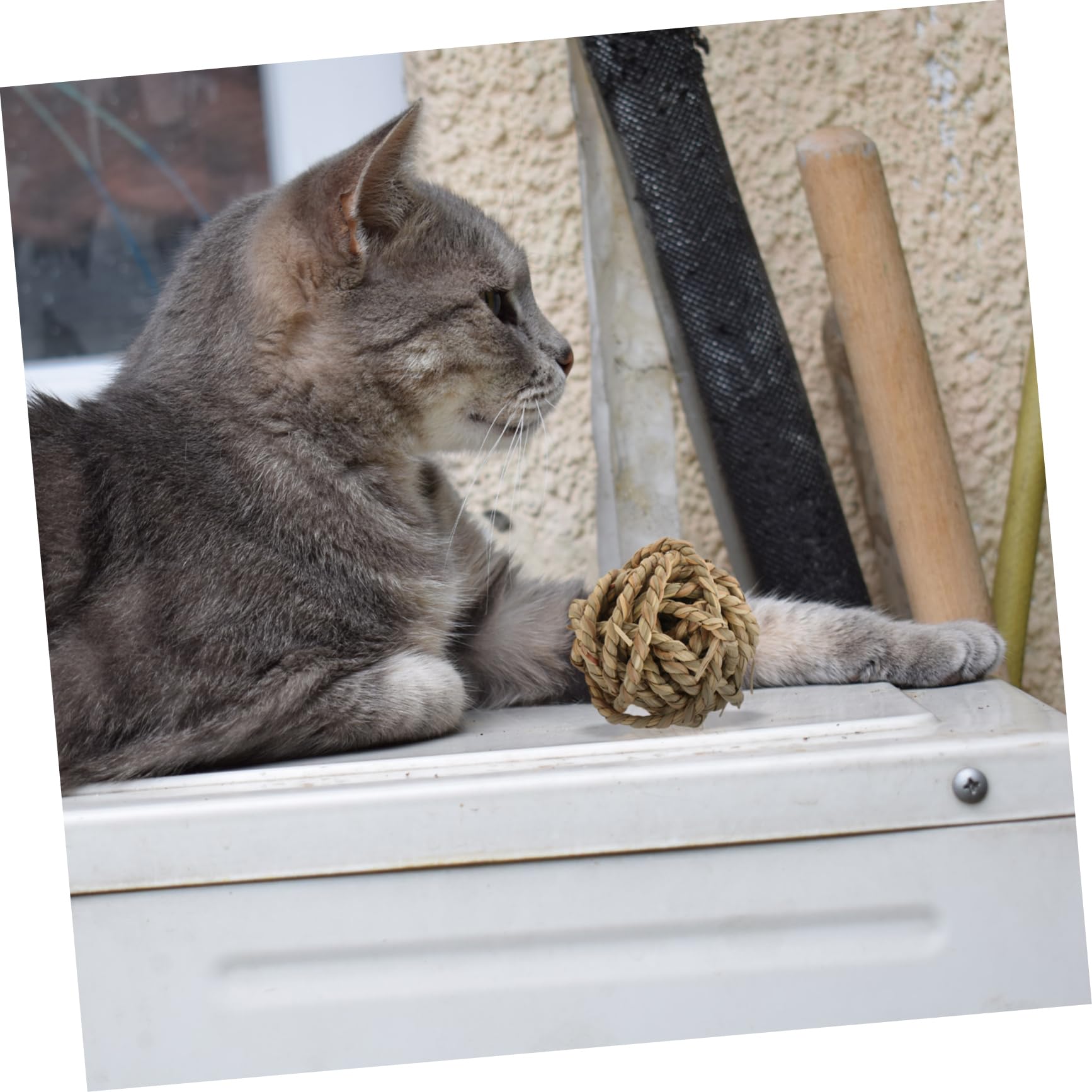 DOITOOL 6stücke Handgefertigte Naturgras-Rope-bälle Kauspielzeug Für Kleintiere Wie Kaninchen Und Meerschweinchen Aktivitätsspielzeug Zur Beschäftigung Und Zahnpflege Sicher Und