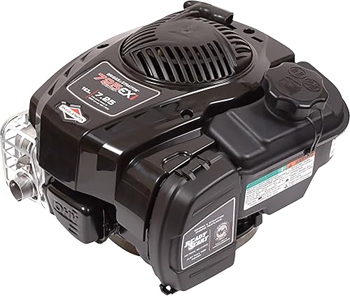 Briggs and Stratton 725EXi Series Motor de gas de 4 ciclos refrigerado por aire de un solo cilindro