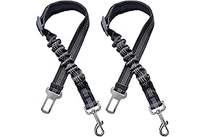 Safe Buckle Dog Leash: The Ultimate Pet Travel Accessory