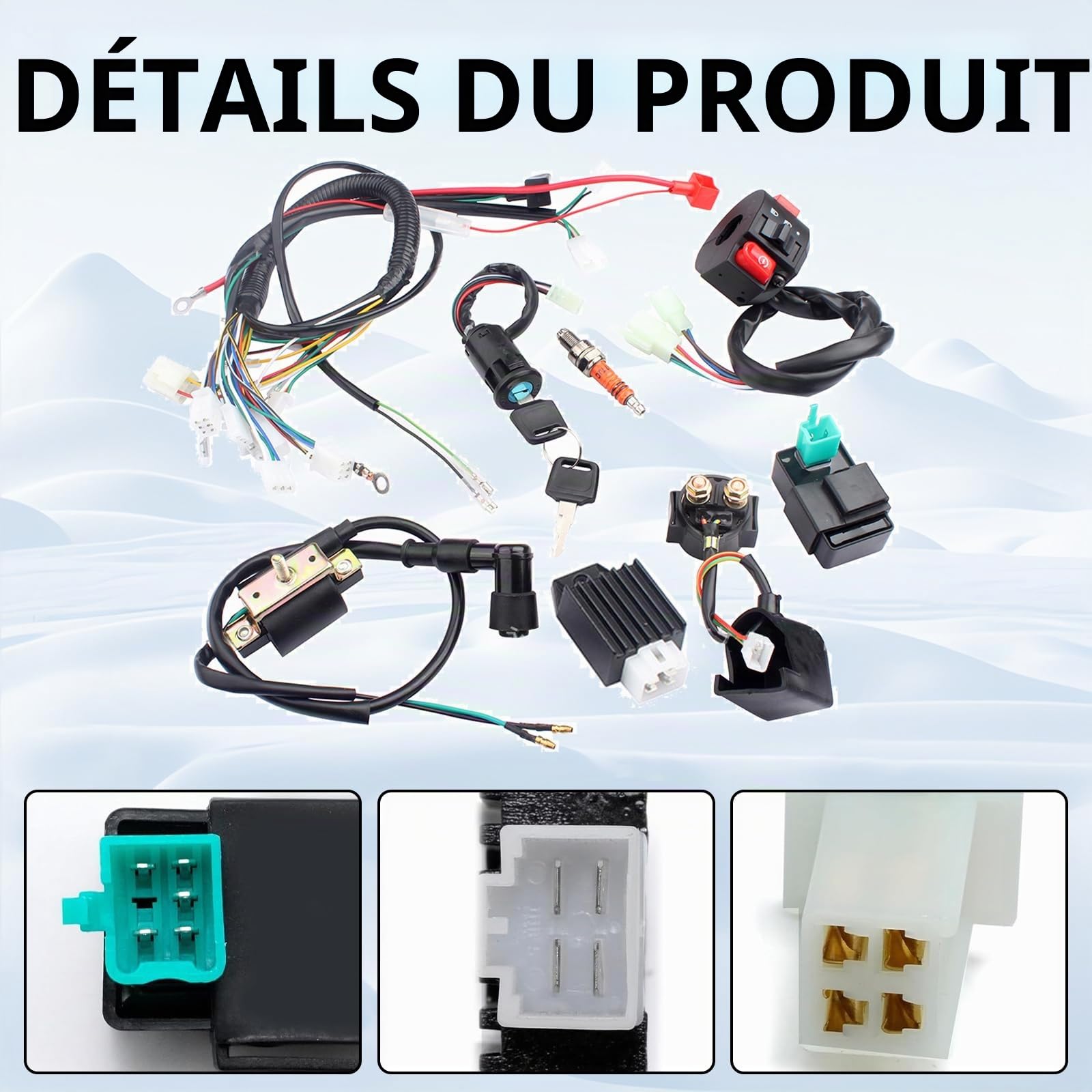 Kit complet de faisceau de câbles pour 50-125 cc ATV/Quad/moto, serrure d'allumage avec clé CDI Bobine d'allumage Relais Régulateur Interrupteur Bougie d'allumage Quad Remplacement pour Dirt Bike