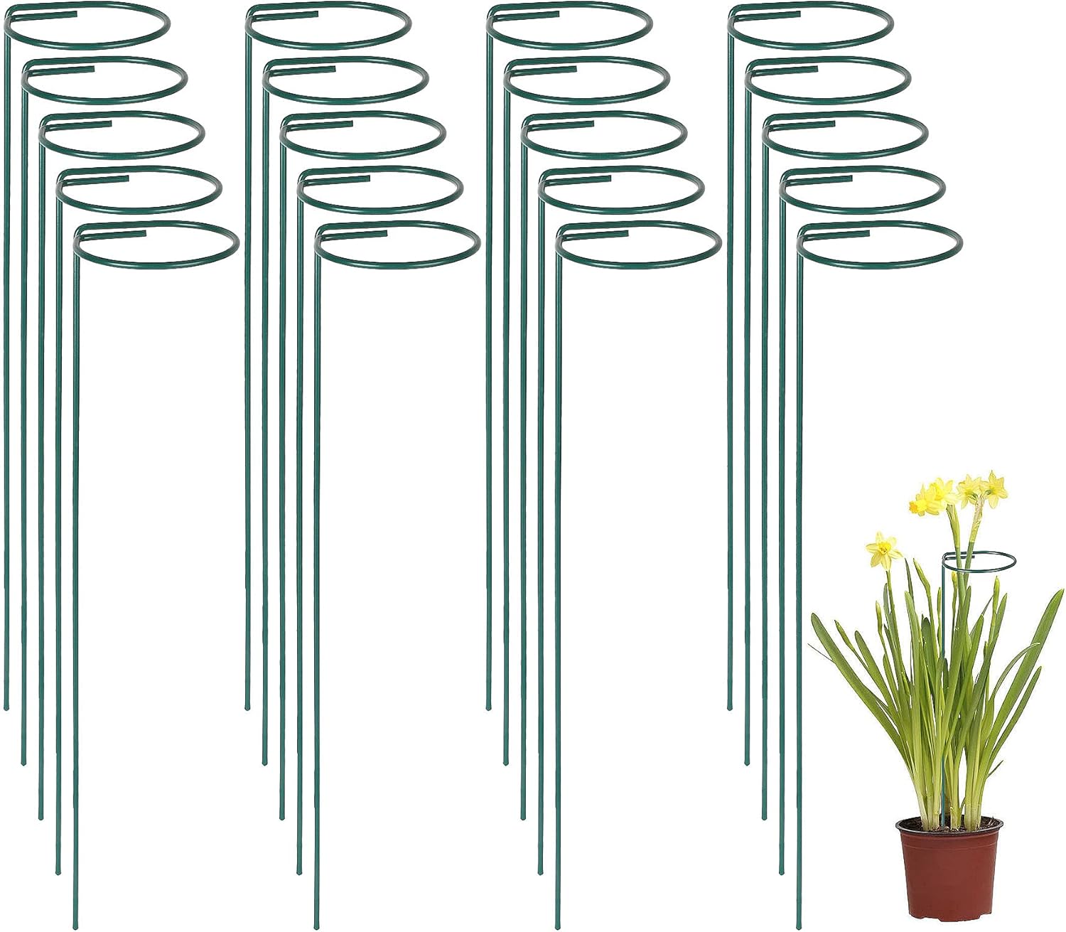 PETTYOLL 20PCS Single Stem Plant Stakes, 15.8 Inch Plant Support Garden Stakes, Flower Support Stakes for Amaryllis Orchid Lily Rose Tomatoes Peony, Dark Green : Patio, Lawn & Garden