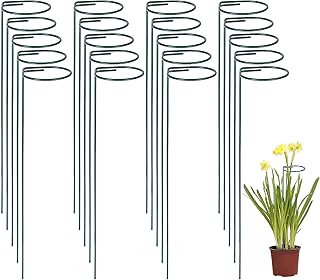 PETTYOLL 20PCS Single Stem Plant Stakes, 15.8 Inch Plant Support Garden Stakes, Flower Support Stakes for Amaryllis Orchid...