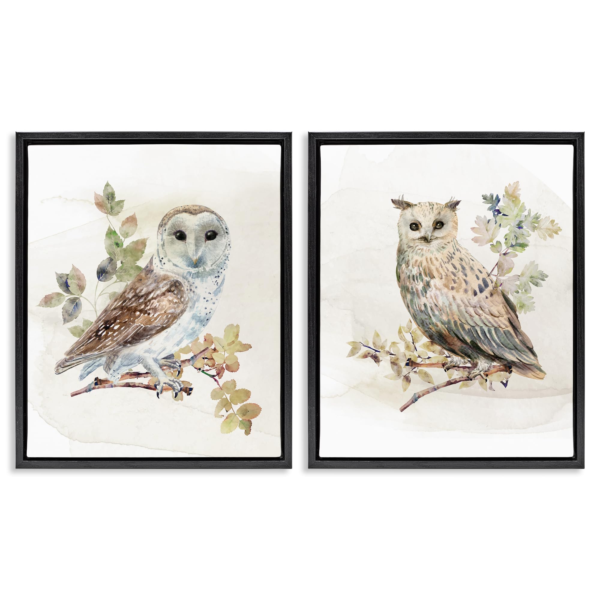 Stupell Industries 'Owls Perched in Foliage', 2pc Floating Frame Art Set 2, Black, 25 x 31 Inches, Easy to Hang and Sturdy, Made in USA, by CAD Designs