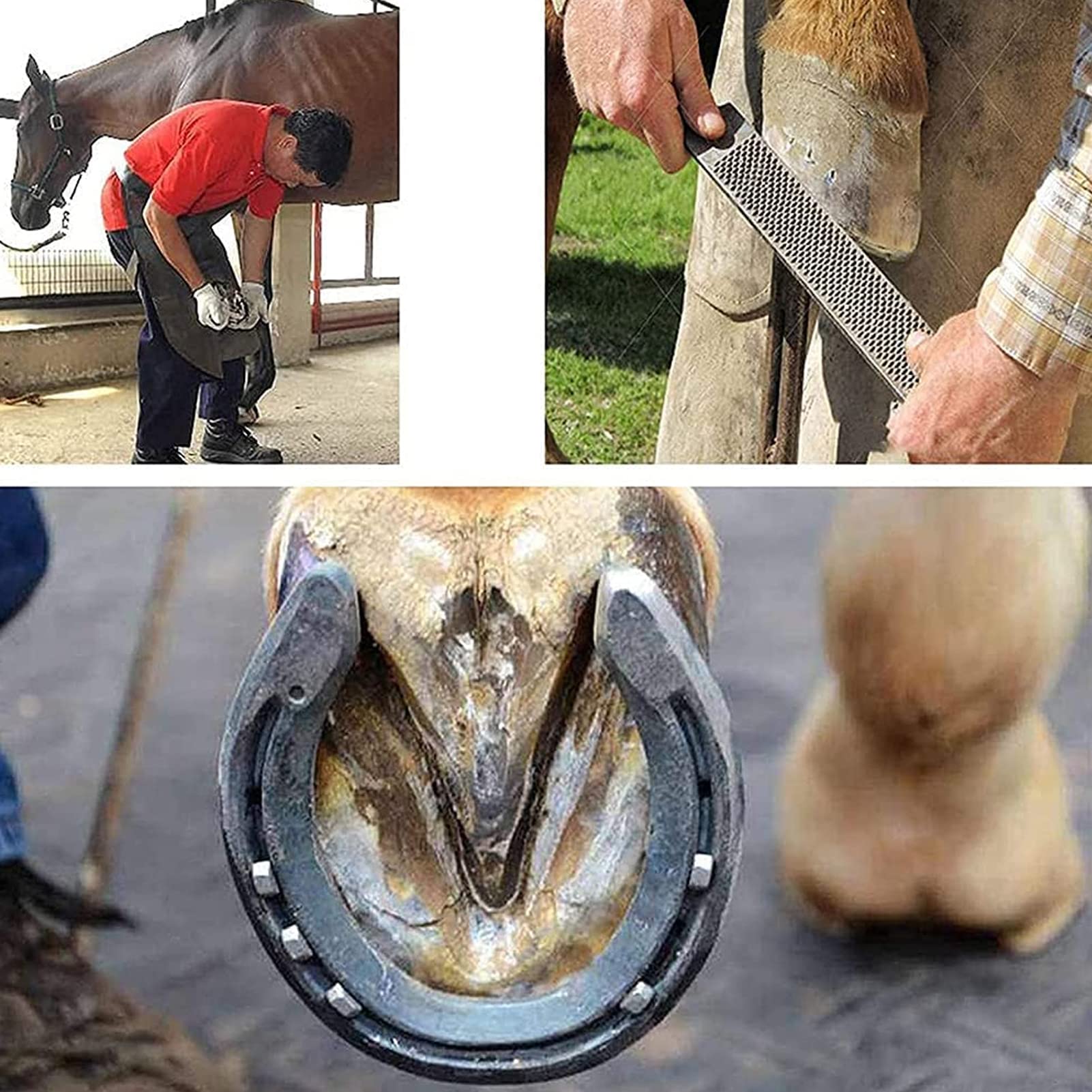Alicates profesionales para pezuñas de acero de 8 pulgadas para caballos, herramienta de corte de herradores, alicates de limpieza de uñas, ideal para granja, ganado, cerdo y cuidado de caballos
