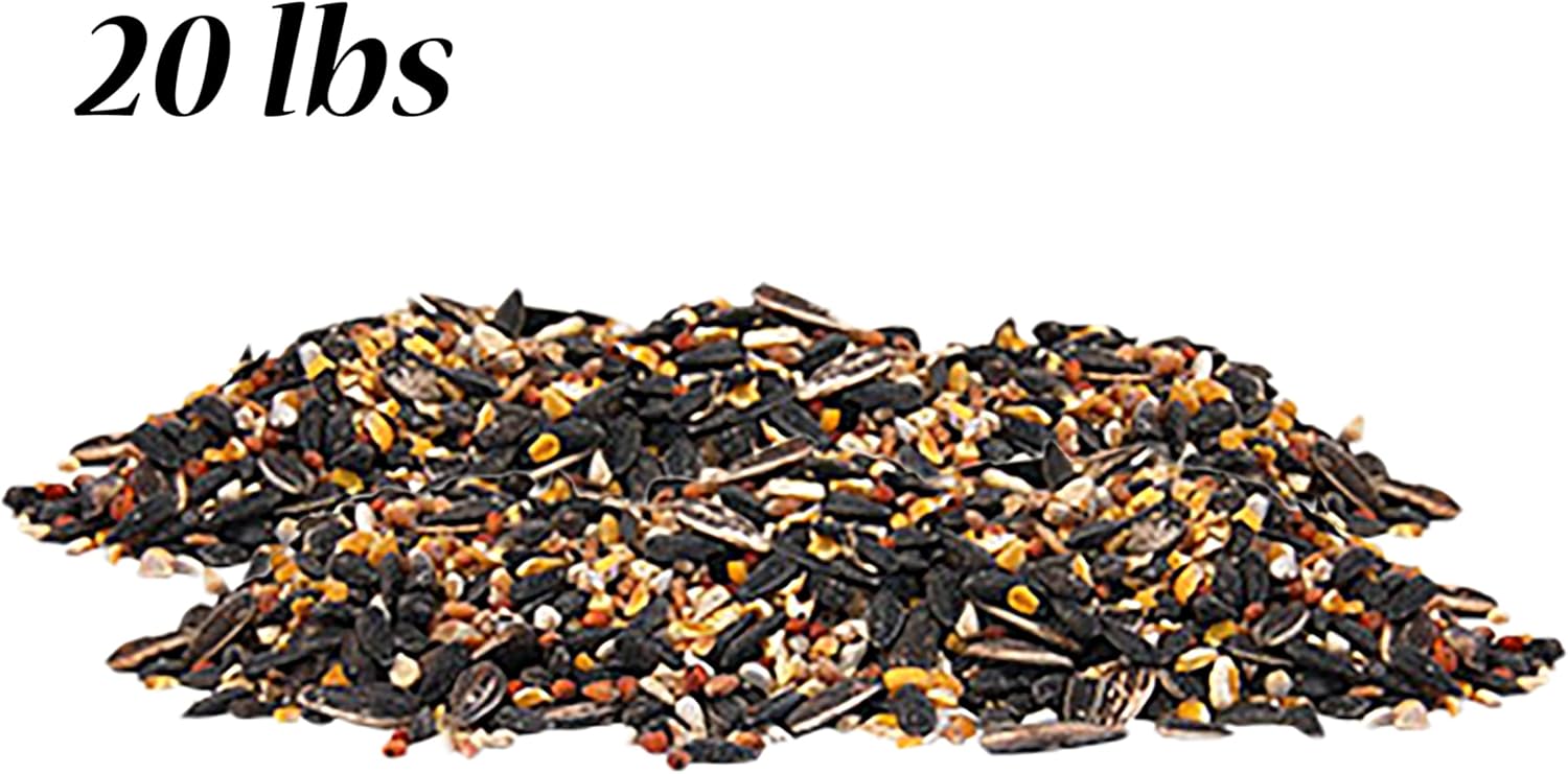 BestNest Wild Bird Seed Mix, No Millet Special, 20 lbs. | Premium No-Filler Bird Food Blend with Sunflower, Cracked Corn, Wheat & Safflower | High-Oil Formula for Cardinals, Wrens & Woodpeckers