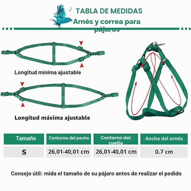 Foto 2 de 6 de ASOCEA ArnéS Y Correa para PáJaros Loro Correa De Plumas Ajustable Cuerda para Caminar De Nailon Volador…