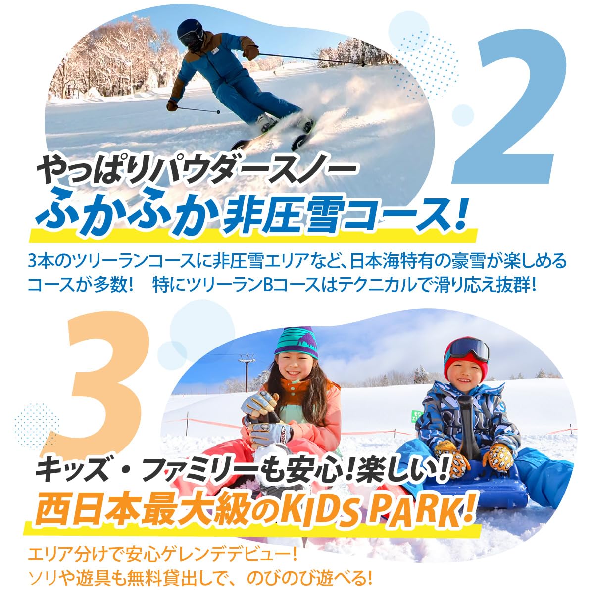 スキージャム勝山　リフト1日券　5枚セット スキージャム勝山 大人用 リフト 1日券（前売り割）+食事券1,000