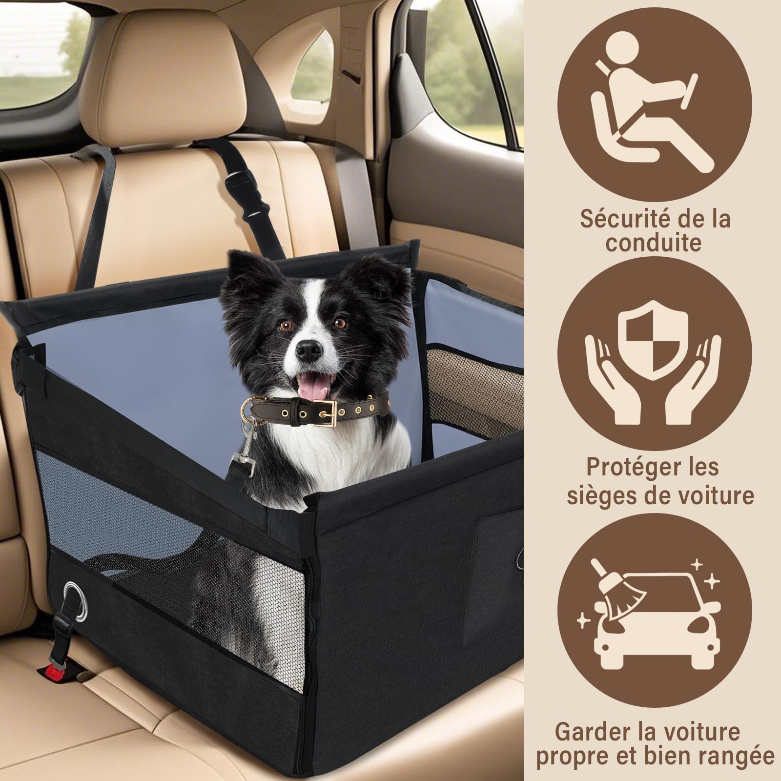 Siège Auto Chien Sécurisé, Panier Voiture Chien Confortable, Protection Voiture Chiens avec Fenêtre Aérée, Sangle Réglable, Compatible avec Tous Véhicules (49x49x38cm)