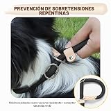 Ver la foto 6