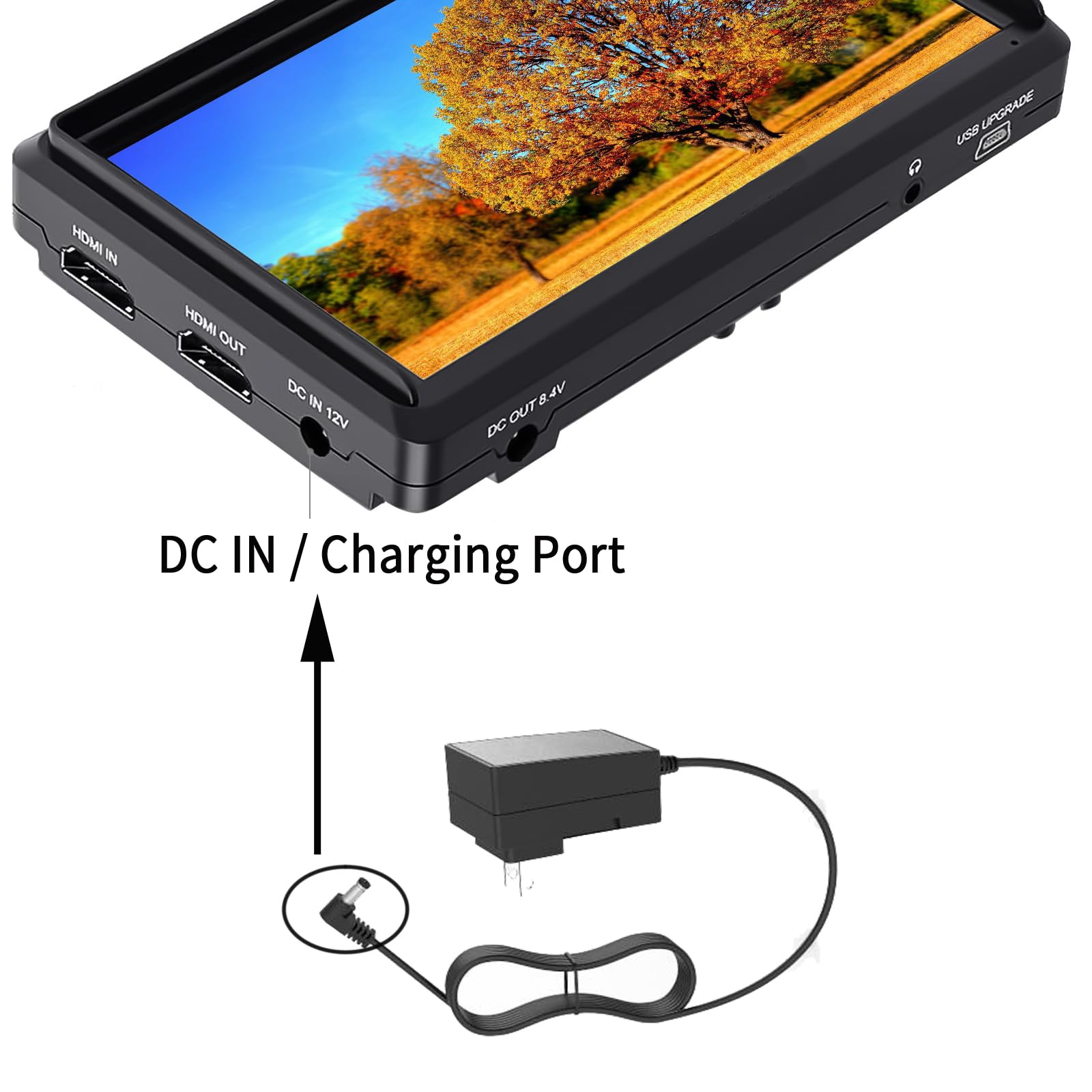 Amazon.com: 12V Power Supply for Feelworld Camera Field Monitor