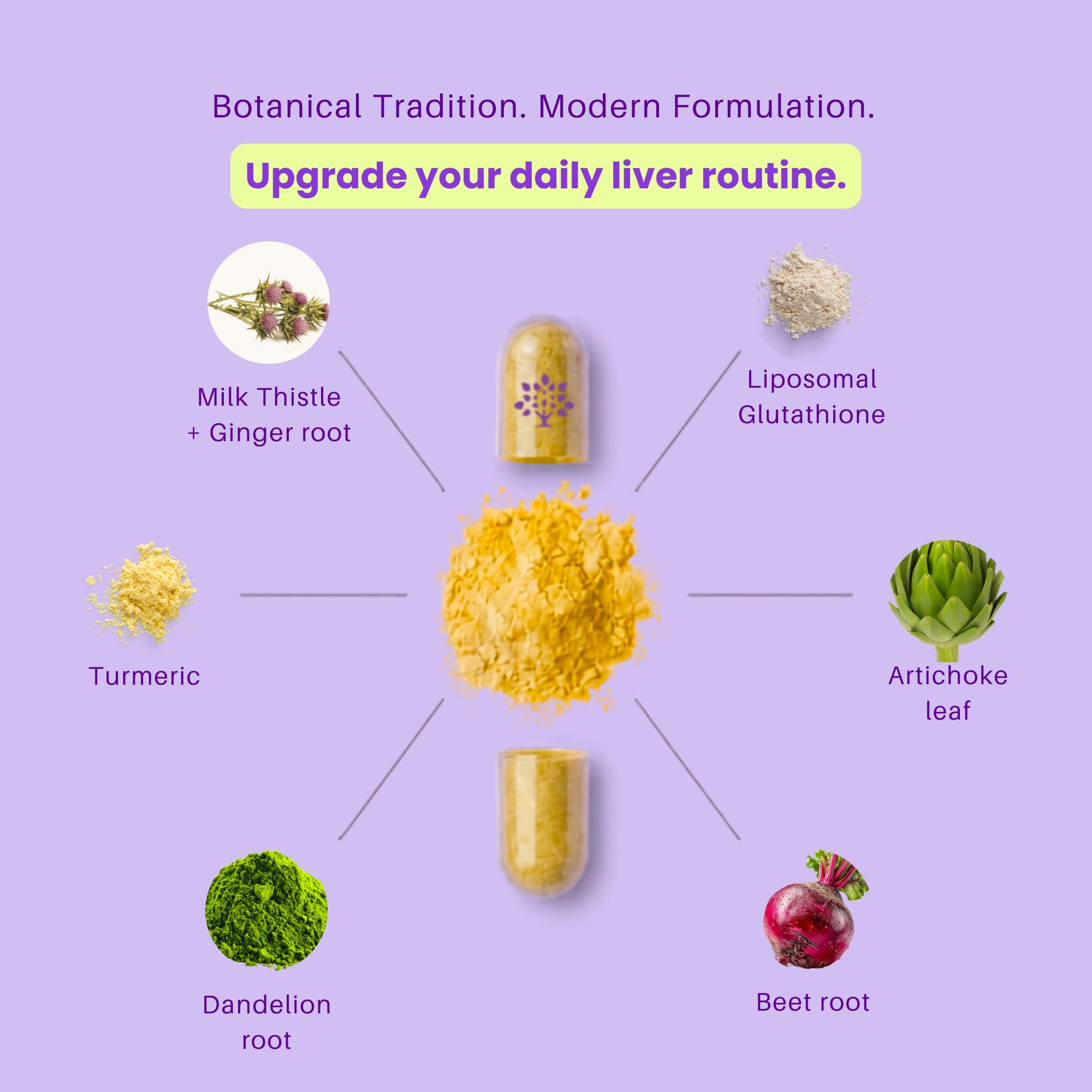 purple tree Happy Liver Daily | Milk Thistle + Glutathione Liver Supplement | 60 Caps — Amazon image 4