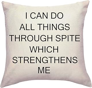 Funny Gift Throw Pillow Covers Motivational Cushion Covers Home Decor Hu...
