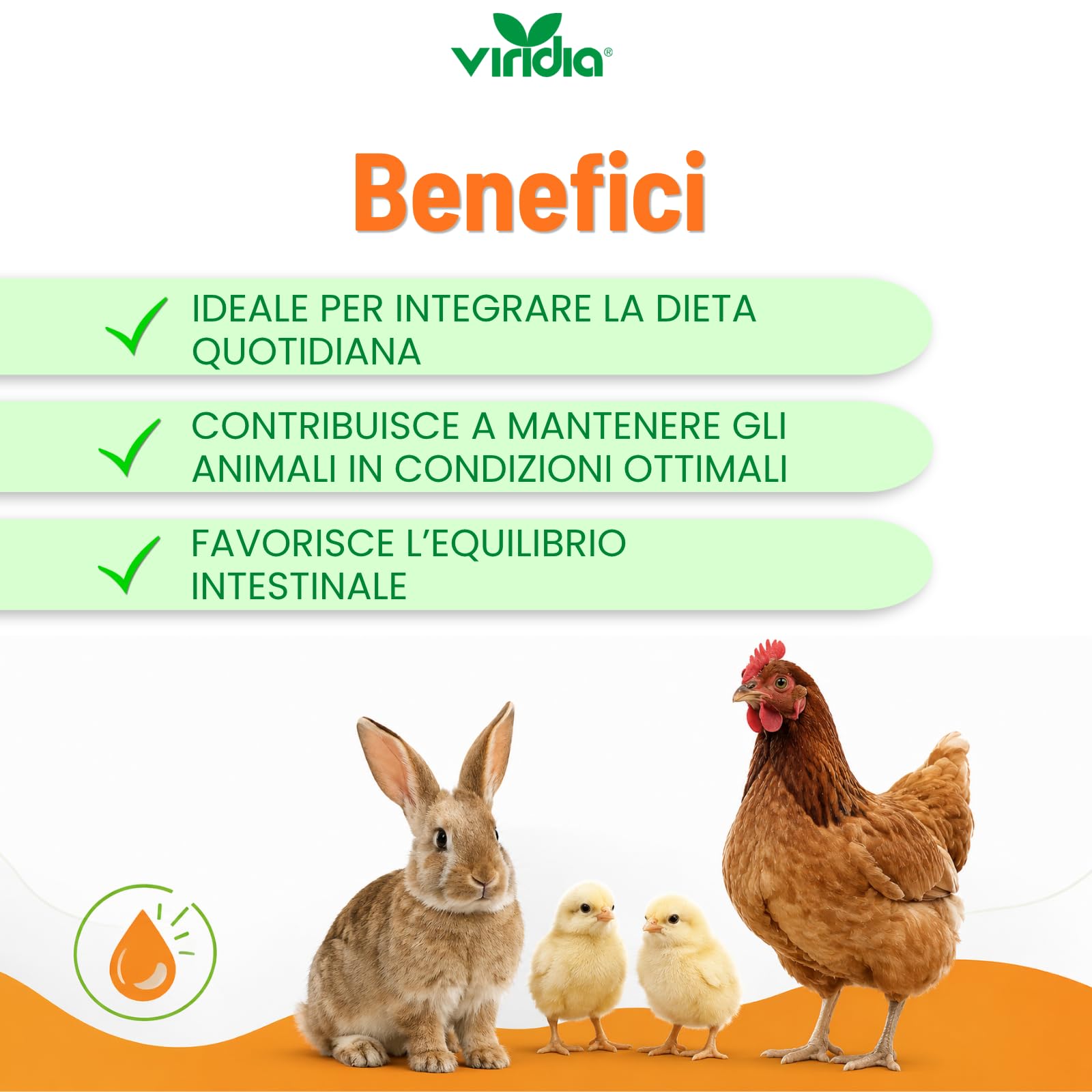 viridia Coccidion Plus Liquido 100 ml – Mangime Complementare per Volatili e Conigli, Supporto Intestinale con Acido Acetico, Equilibrio Intestinale, Facile da Diluire in Acqua da Bere