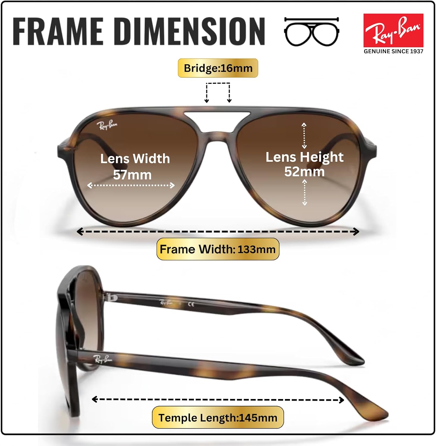 Ray-Ban RB4376 Pilot Shaped Sunglasses for Men & Women with Official RAYBAN Eyewear Kit