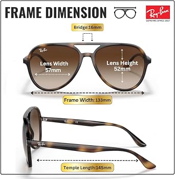 Ray-Ban RB4376 Pilot Shaped Sunglasses for Men & Women with Official RAYBAN Eyewear Kit