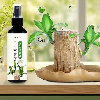 Hydroponic Brazilian Wood Nutrient Solution, Lucky Bamboo & Brazilian Wood Liquid Fertilizer, Brazilian Wood Flowering Special Nutrient Solution for Indoor Potted Plants, Rooting Solution (3PCS)
