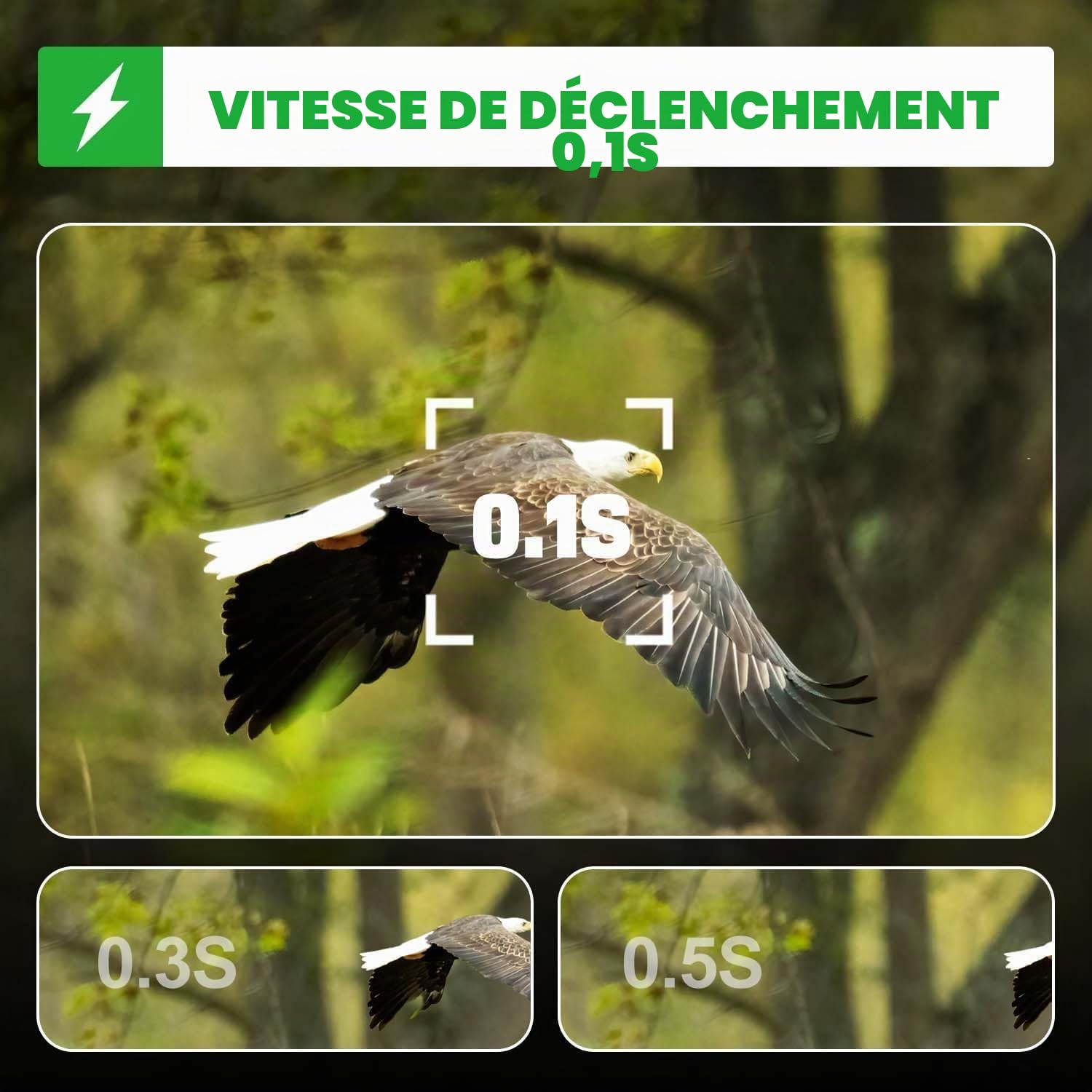 Coolifepro Caméra de Chasse, Caméra de Surveillance 4K, Caméra de Vie Sauvage 48MP avec Vision Nocturne et Détecteur de Mouvement, Portée de 35m, Étanche IP66 & Carte SD 32GB pour l'Observation des