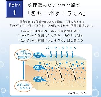 Amazon.co.jp: パーフェクトロン（美容液）60ml : ビューティー