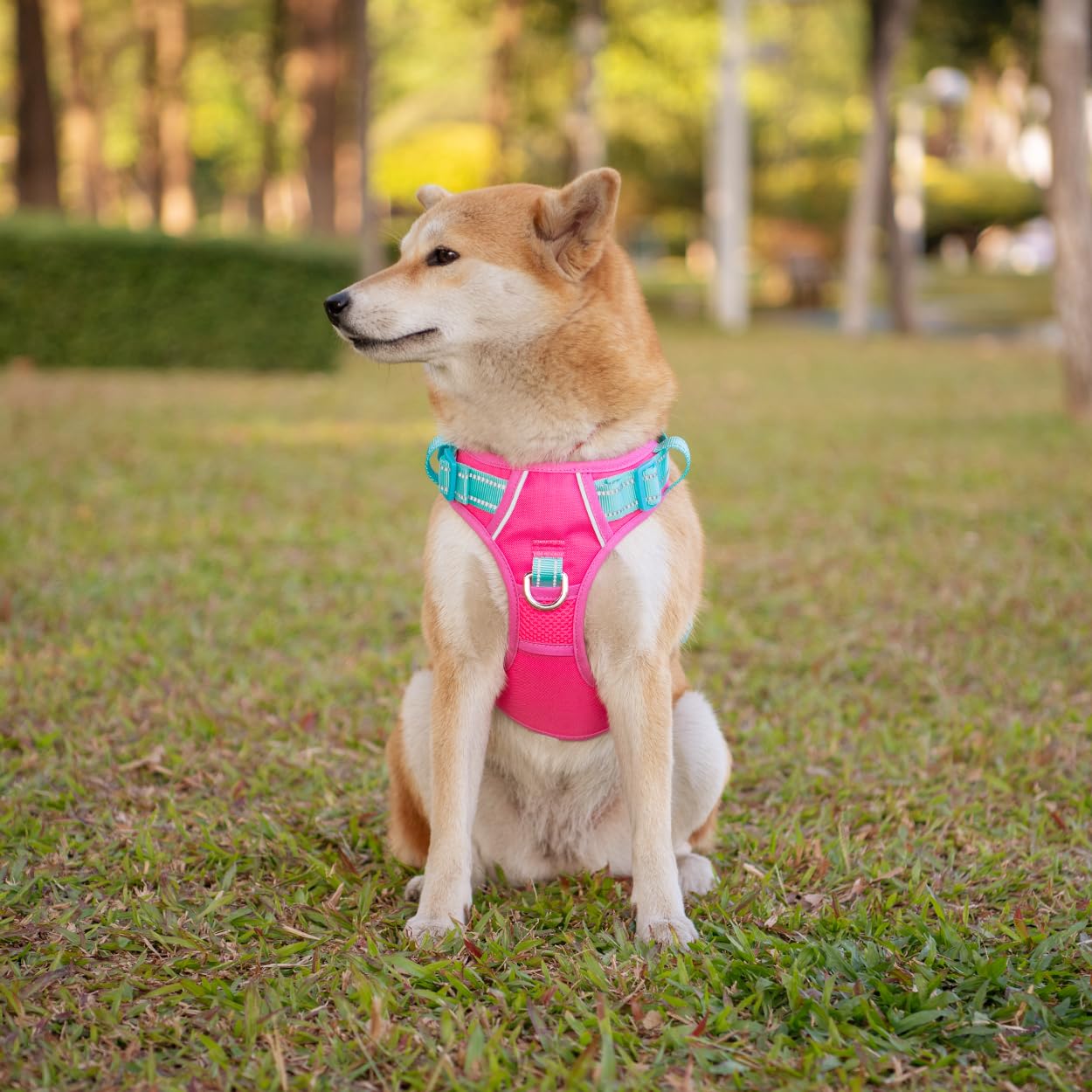 PHOEPET Anti-Pull Dog Harness, Reflective Adjustable Puppy Safety Harness for Small Medium and Large Dogs (S, Pink Base & Green Straps) - Image 3