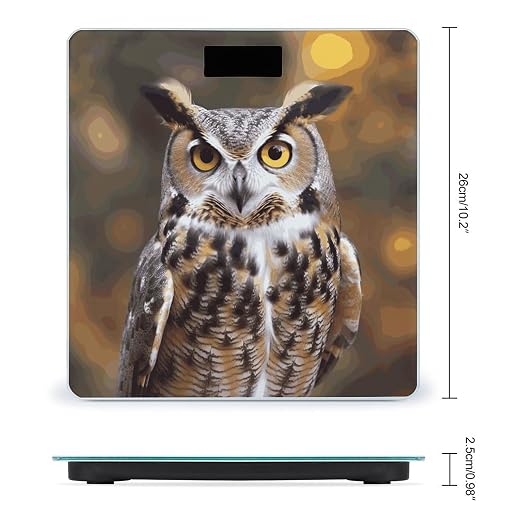 Owl Birds Scale for Body Weight Highly Accurate Digital Bathroom Body Scale Easy-to-Read Large LCD Display Bathroom Scale Heavy Duty Measuring Device for People miniatura 2
