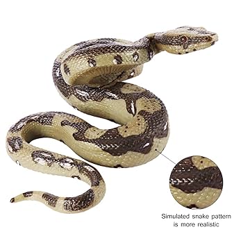 ヘビさん専用 71D8d7i-irL._UF350,350_QL80_.jpg