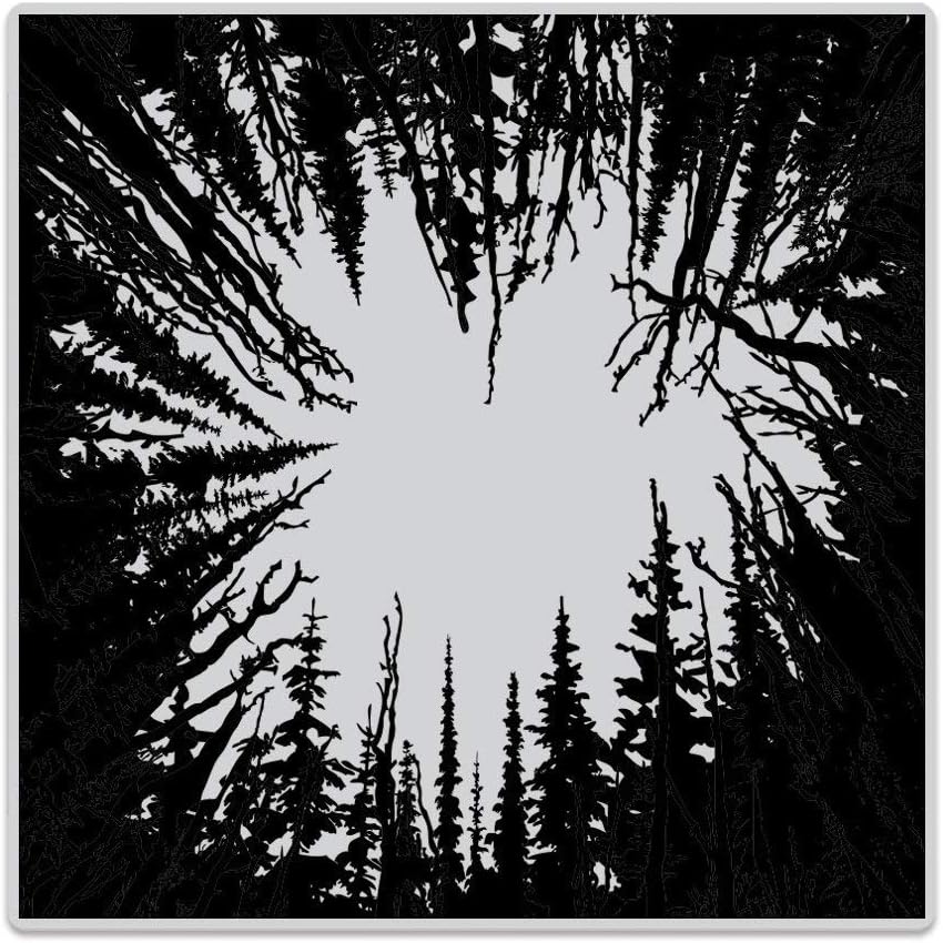 Hero Arts CG787 Cling Stamps, Cathedral of Trees Bold Prints