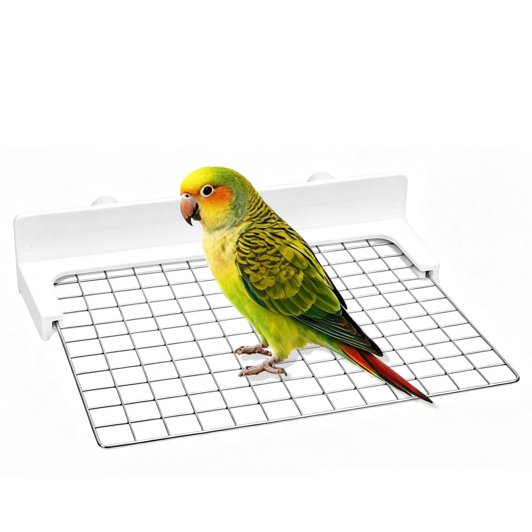 Bird Cage Platform Perch Stand, Stainless Steel Bird Cage Grid with ABS Bracket for Parrots Budgies and Small Birds