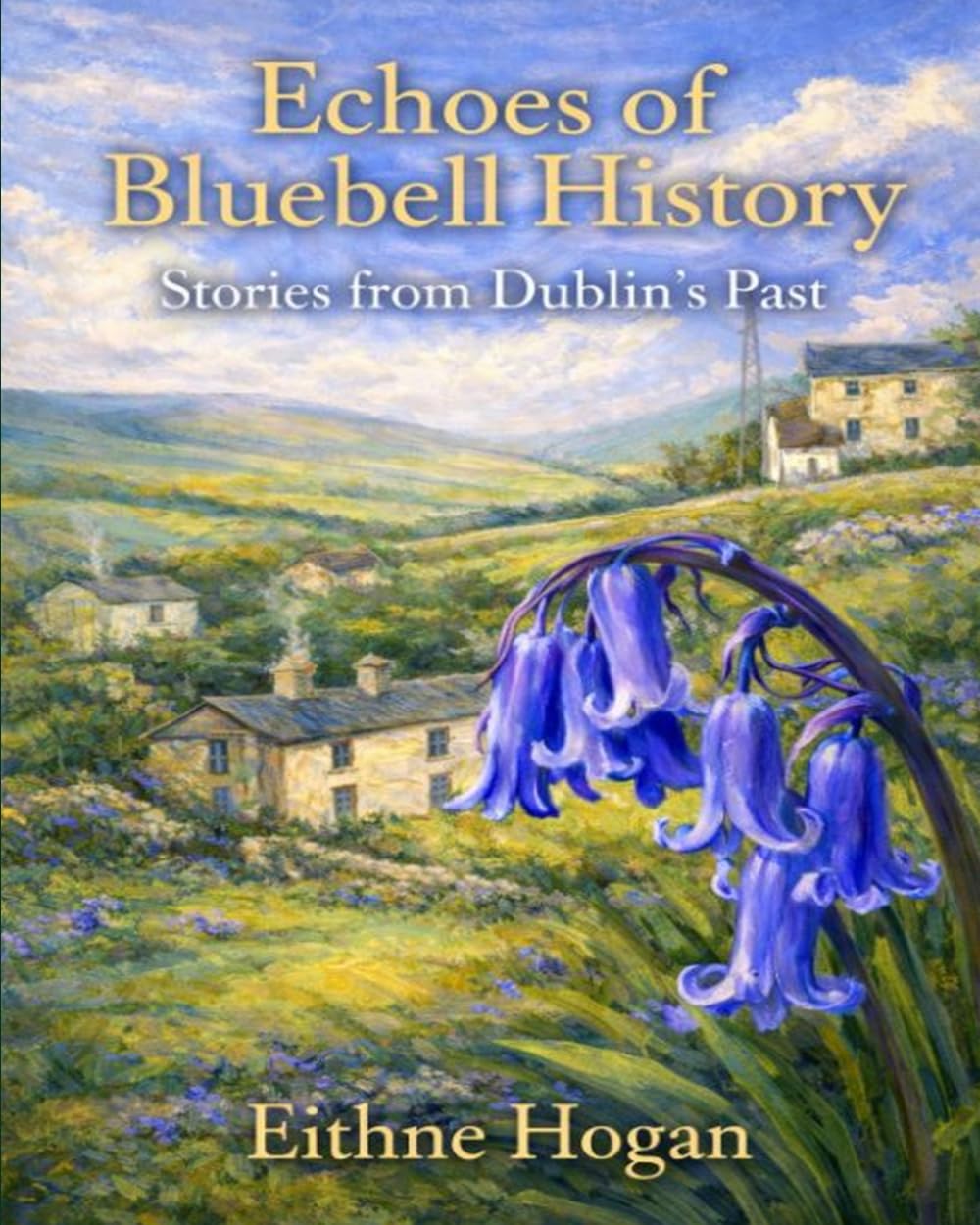 Echoes of Bluebell History: Stories from Dublin’s Past      Paperback – March 16, 2026