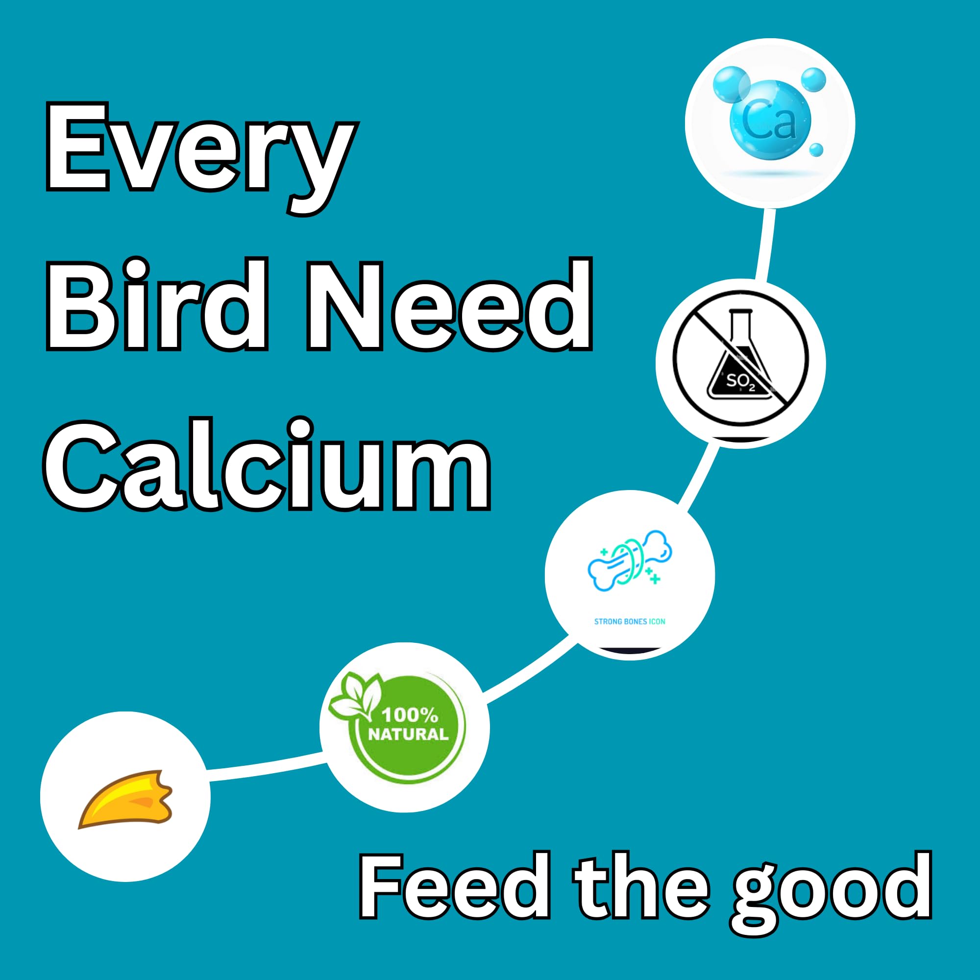 Pets Pro Premium Cuttlefish Bone for Birds 50gm with Free Holder (5-inches) | Calcium-Rich, and Chemical-Free | for Budgies, Cockatiel, Macaw, Lovebird, Cockatoo etc 3