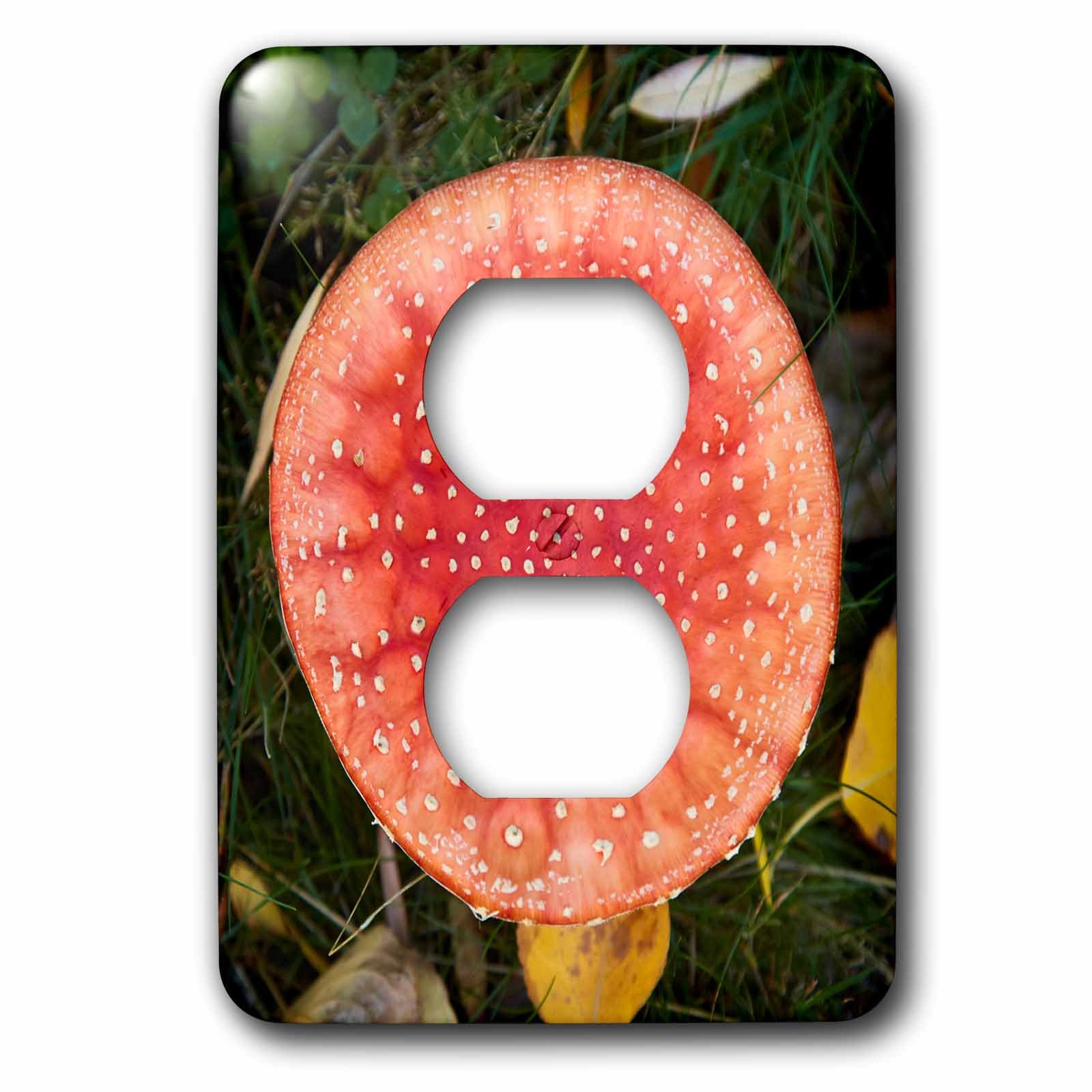 Couvercle d'interrupteur de lumière variable plaque murale decorative 3dRose lsp_257356_6