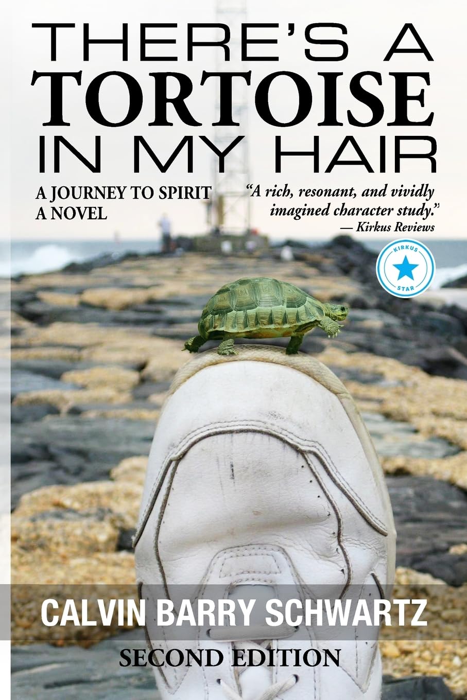There's a Tortoise in My Hair - Inspirational Memoir, Metaphysical & Visionary Literary Fiction, literary fiction about consciousness and spiritual growth fiction based on real events