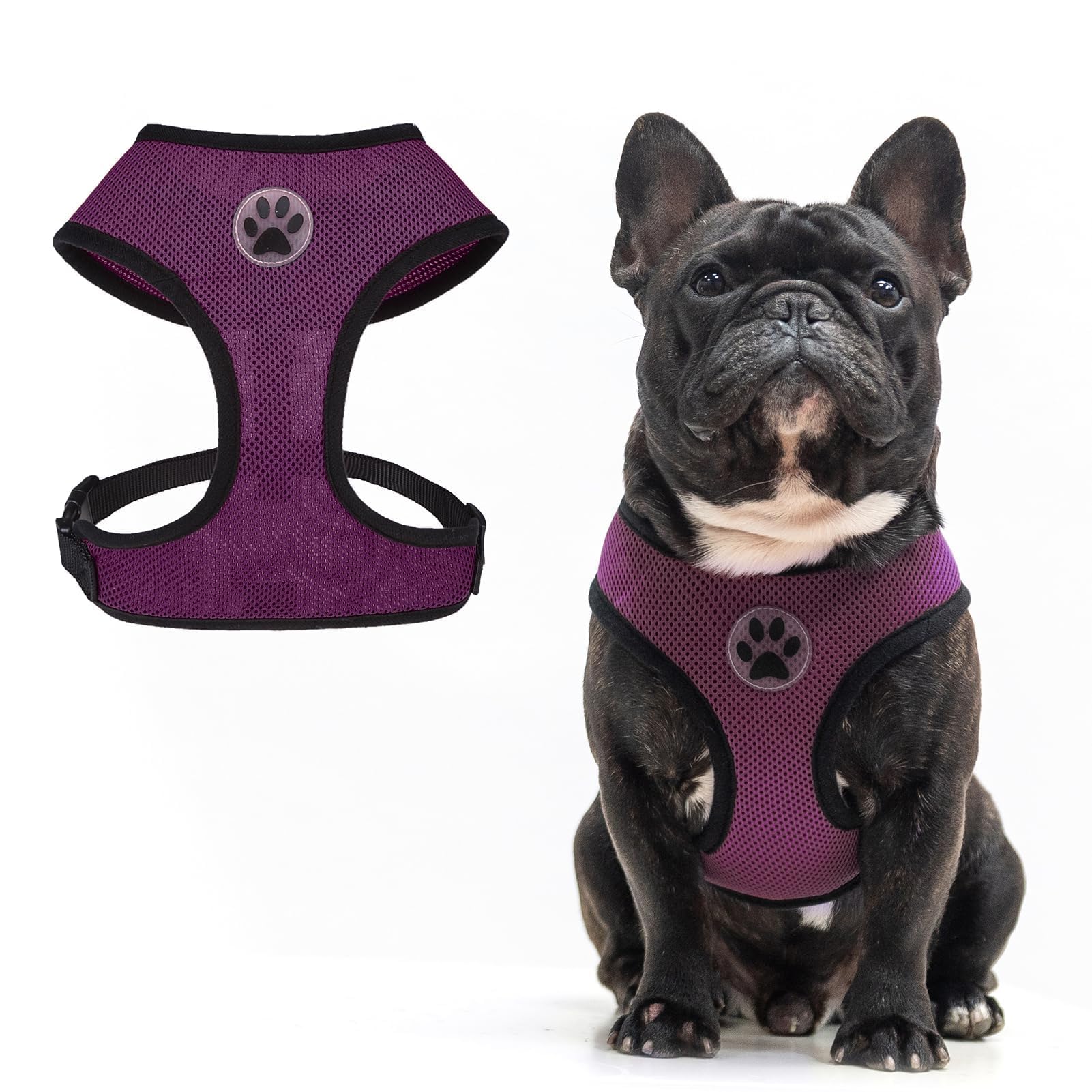 BINGPET Dog Harness - Breathable Mesh Puppy Cat Harnesses - No Pull Adjustable Dog Harness Dog Vest Harness for Small Medium Large Dogs