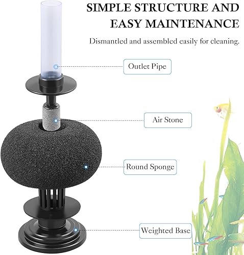 Miniatura 3 de HITOP Filtro de esponja bio de acuario de 4 pulgadas de diámetro filtro de tanque de peces de aire de 5-40 galones, filtro silencioso para